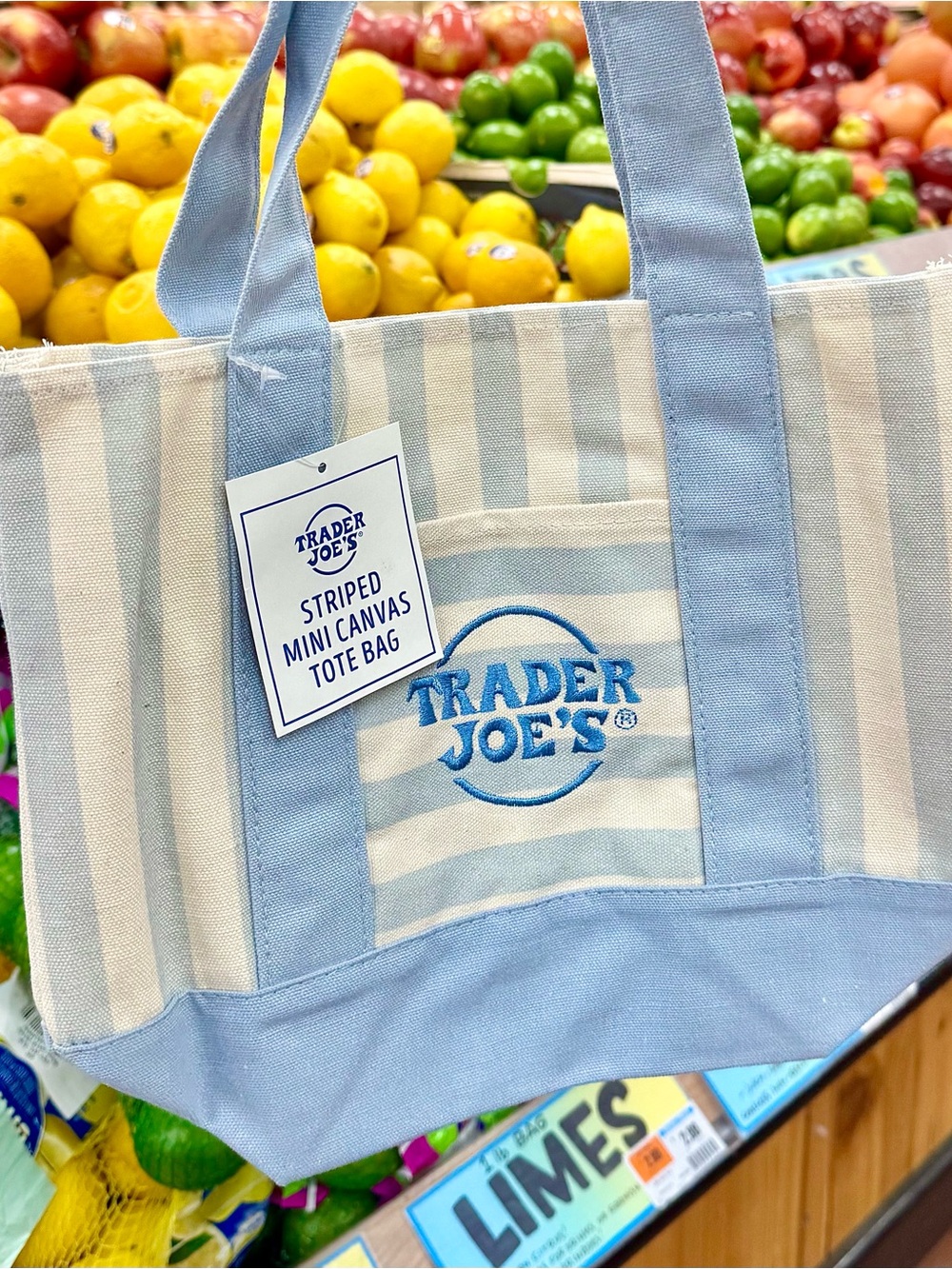 Trader Joe’s - Striped Mini Canvas Tote Bag (Sky Blue) // Brand new with tag
